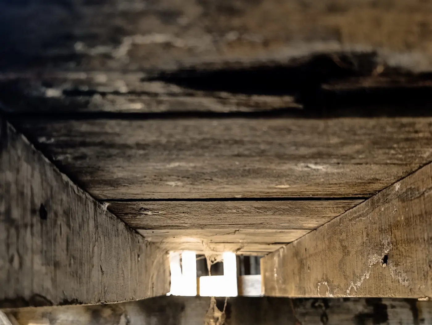 Wood floor joists and subfloor seen from below